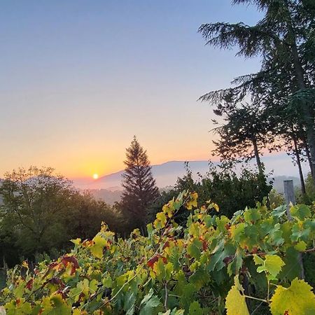 "Il Casaletto" Agriturismo Moderno, Vista Panoramica E Cibo Spettacolare- Scurcola Marsicana Eksteriør bilde