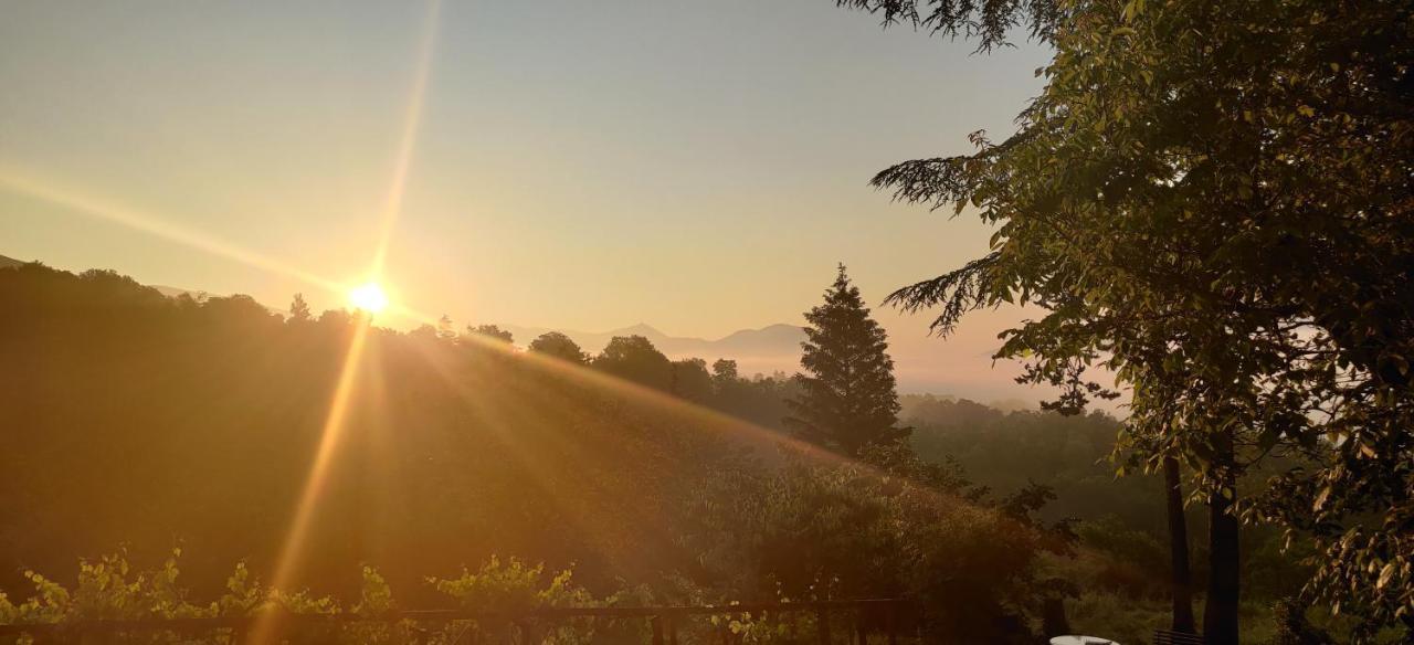 "Il Casaletto" Agriturismo Moderno, Vista Panoramica E Cibo Spettacolare- Scurcola Marsicana Eksteriør bilde