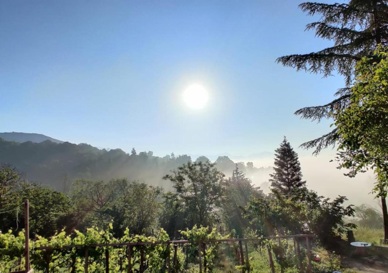 "Il Casaletto" Agriturismo Moderno, Vista Panoramica E Cibo Spettacolare- Scurcola Marsicana Eksteriør bilde