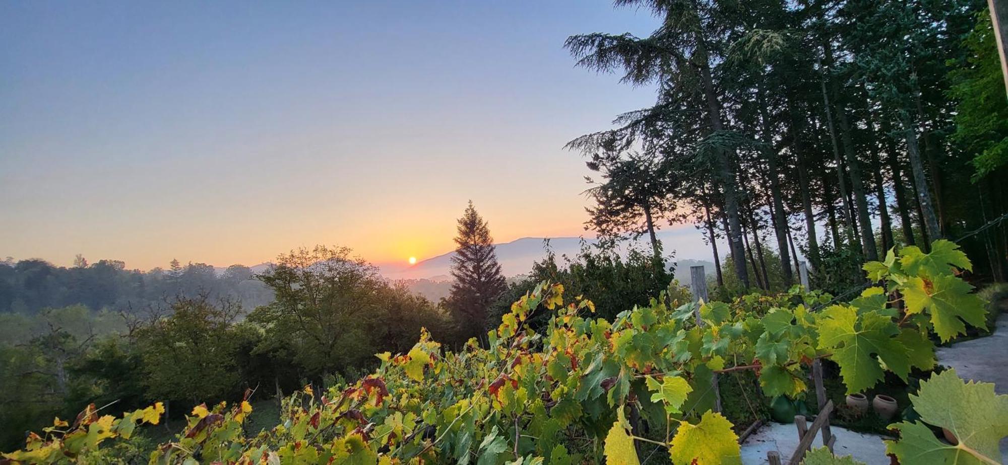 "Il Casaletto" Agriturismo Moderno, Vista Panoramica E Cibo Spettacolare- Scurcola Marsicana Eksteriør bilde