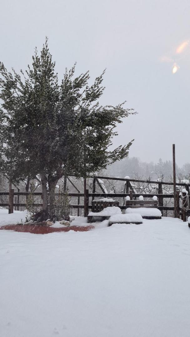"Il Casaletto" Agriturismo Moderno, Vista Panoramica E Cibo Spettacolare- Scurcola Marsicana Eksteriør bilde
